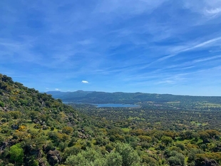 El Ayuntamiento de Plasencia realizará este domingo una batida controlada de jabalíes en Valcorchero