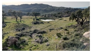 El Parque de la Isla acogerá una nueva edición de 